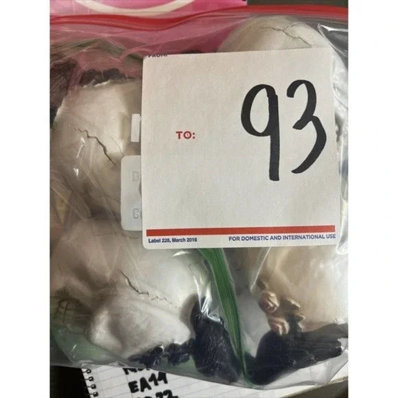 Skull With Crow and Purple Rose Flowers - Picture 5 of 5